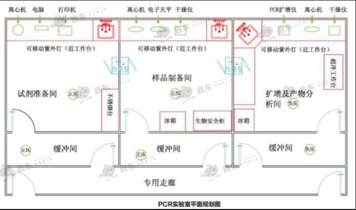 pcr实验室平面规划图