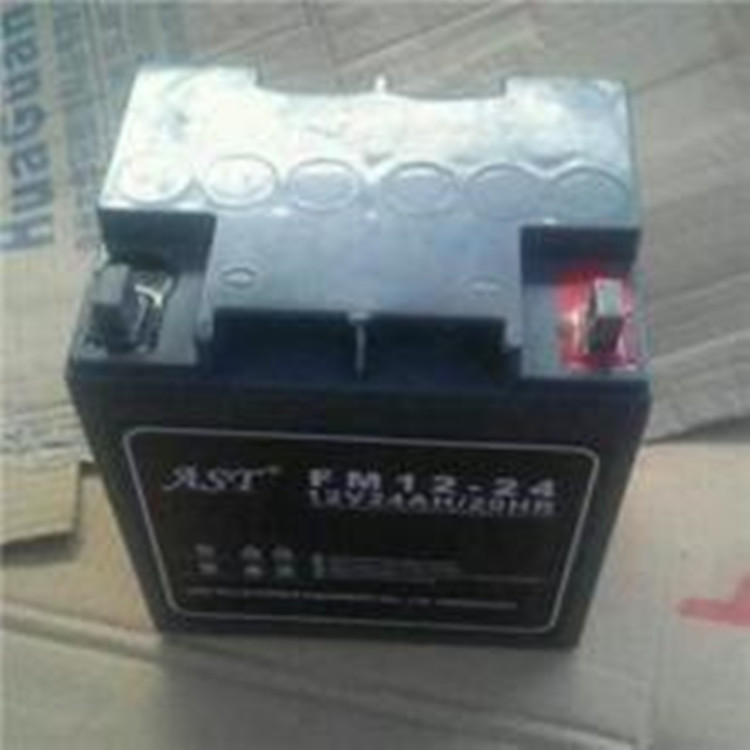 AST蓄电池FM12-100/12V100AH铅酸免维护AST蓄电池无需加液包邮示例图4