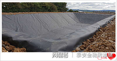 雄安新区垃圾填埋场用高密度聚乙烯HDPE2.0mm防渗土工膜价格示例图2