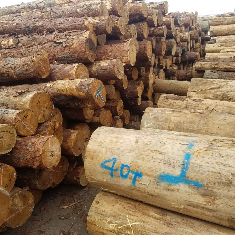 木材厂家落叶松100*100木方 枕木 可定尺加工各种规格示例图7
