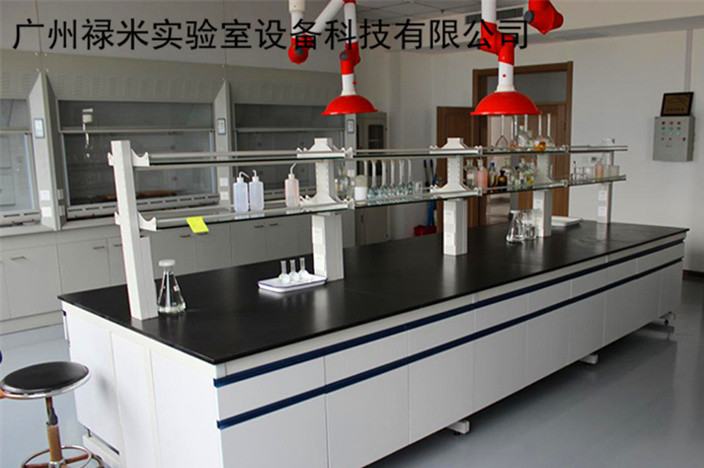 实验台 实验操作台 钢木结构边台 实验设备厂家 理化板台面示例图1