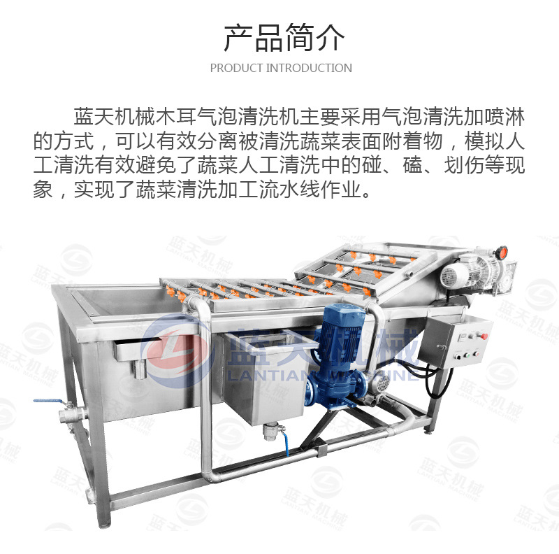 蓝天木耳气泡清洗机 黑木耳清洗机 多功能自动木耳清洗设备生产商示例图2