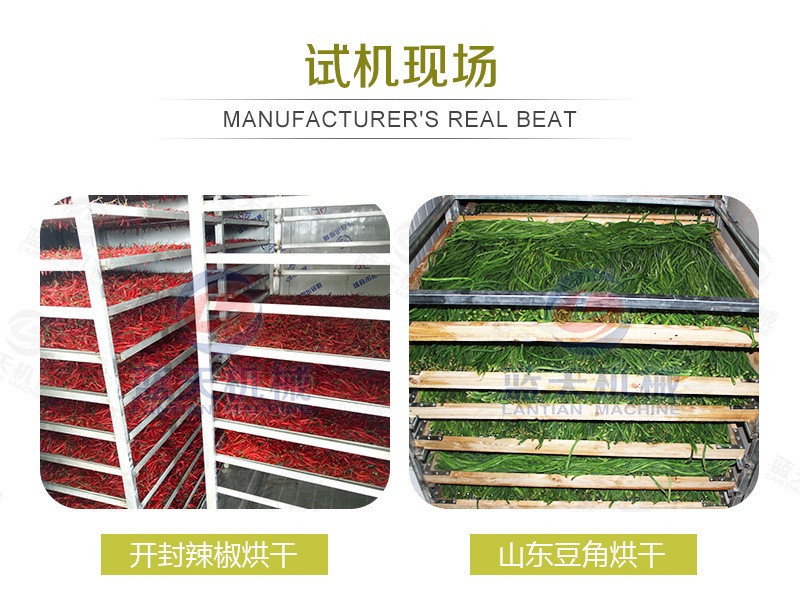 空气能热泵石花菜烘干机 龙须菜鹿角菜水晶藻箱式热风式烘干设备示例图24