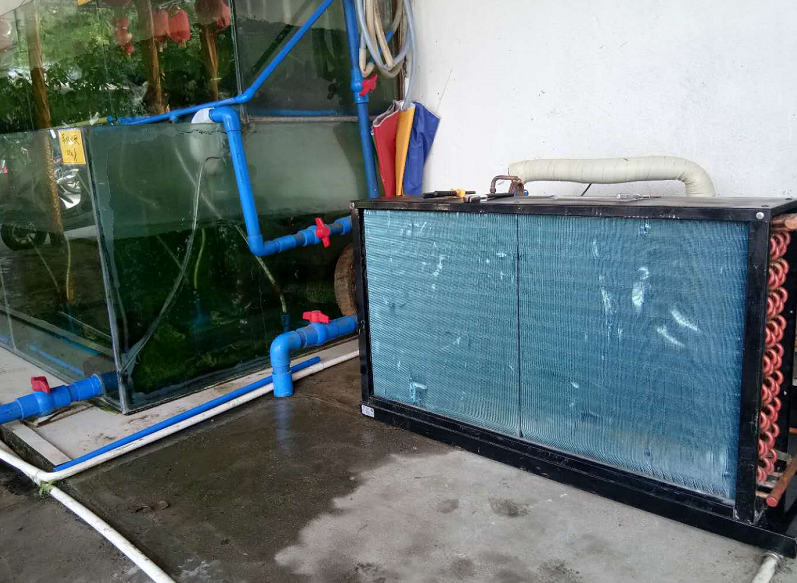 鱼池冷暖机 厂家供应1匹2匹3匹5匹鱼池海鲜冷暖机组示例图1