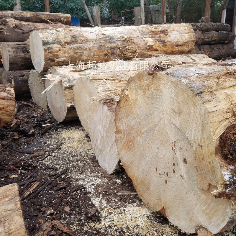 新西兰松木材 密度适中 价格低廉 制作家具包装木条工程木方示例图7