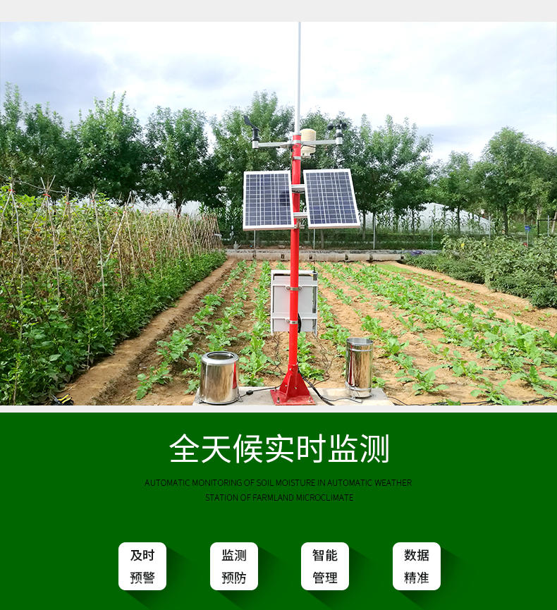 自动气象站 绿光TWS-3N农业自动气象站 田间小型自动气象站示例图1