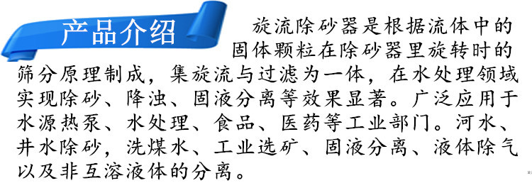 上海旋流除砂器原理 旋流分离器示例图4