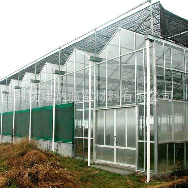 山东温室大棚工程造价 玻璃温室 连栋薄膜温室 阳光板温室示例图3