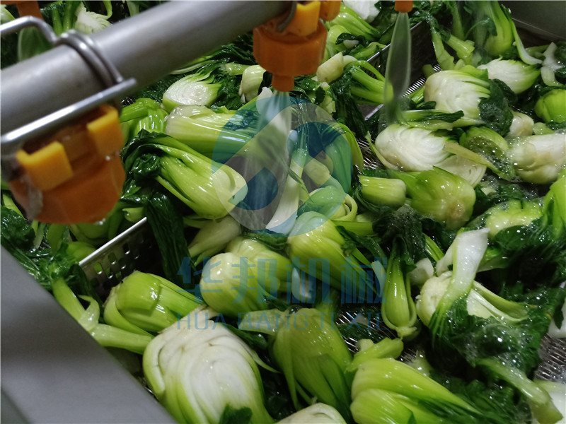 气泡式果蔬清洗机 高压喷淋清洗机定制 蔬菜清洗机全自动洗菜机示例图2