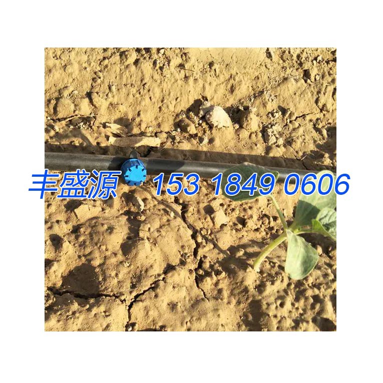 丘陵果园水肥一体滴灌设备 8孔滴头流量 大流量可调式滴头示例图6
