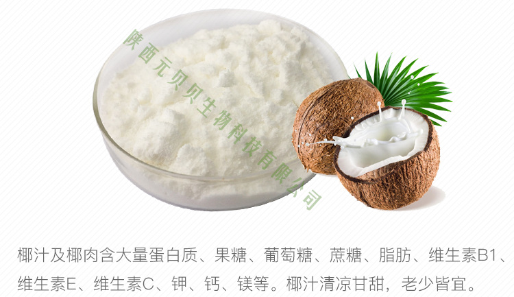 椰子油粉 水溶椰子汁粉  质量保证包邮 喷雾干燥椰子粉示例图4