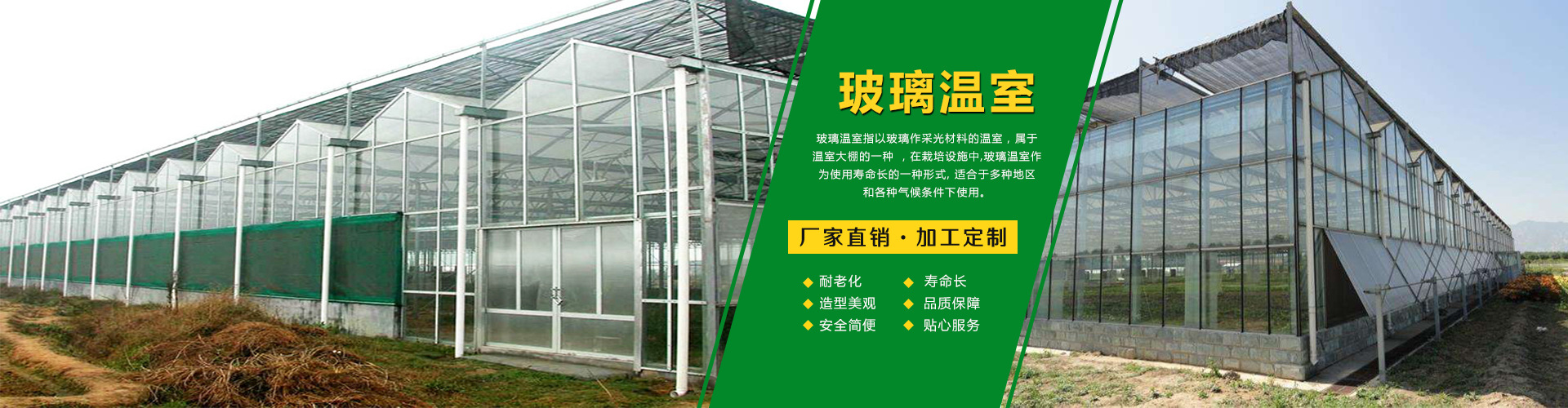 专业安装设计玻璃温室 智能温室 日光温室 连栋温室 阳光板温室示例图15