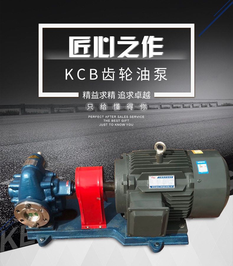厂家供应 KCB-18.3小流量卧式铸铁齿轮油泵 小型电动自吸齿轮泵示例图1
