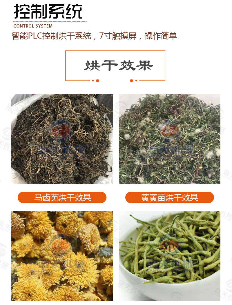 蓝天空气能马齿苋烘干机 马苋干脱水干燥机 五行草马齿菜烘干设备示例图19