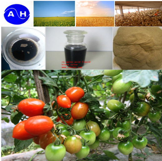 有机肥 有机肥颗粒 黑颗粒有机肥 氨基酸有机肥