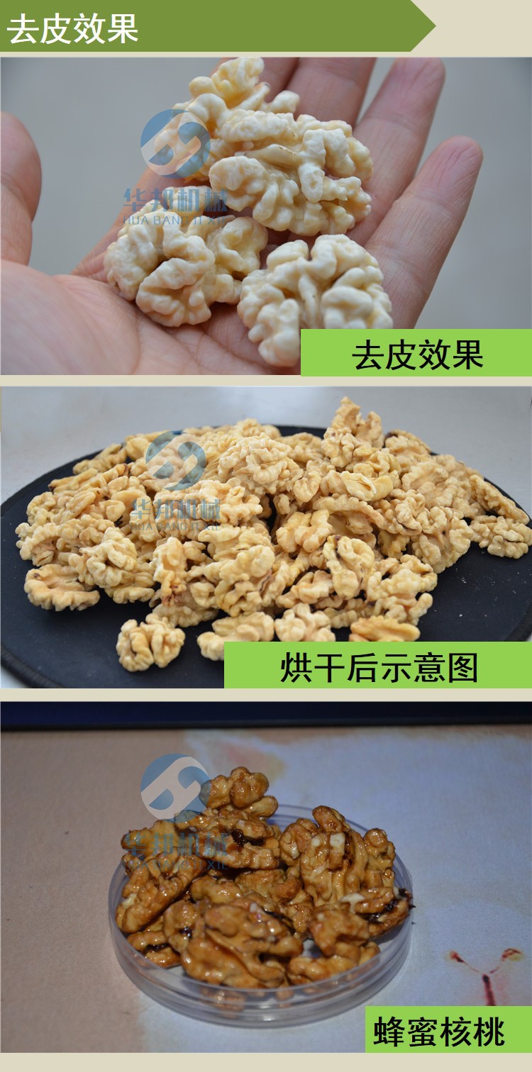 供应核桃乳加工机器纯物理核桃仁去皮清洗机低电率高效率示例图6