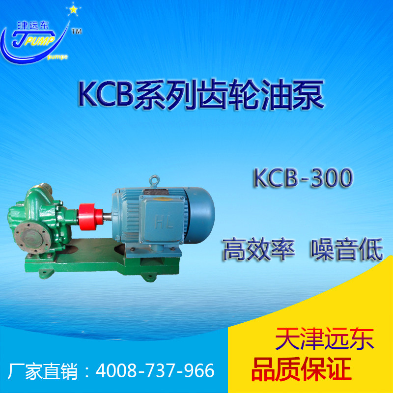 天津远东 KCB-300齿轮油泵 润滑油输送泵 远东齿轮泵 输油泵示例图1