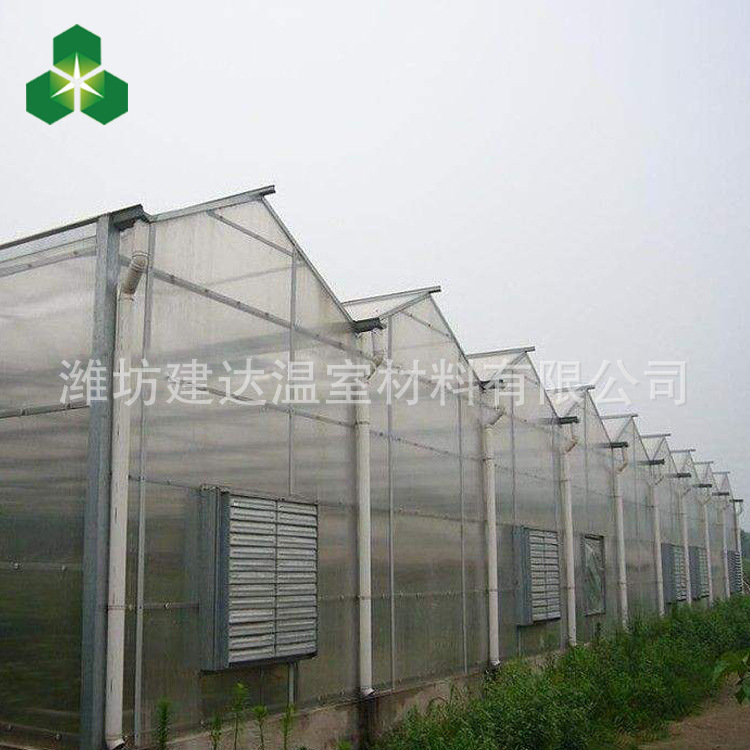阳光板温室大棚 现代化温室大棚 厂家批发定制温室蔬菜大棚示例图8
