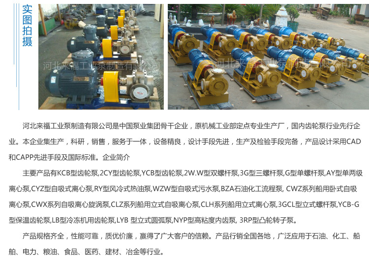 厂家直销 3G三螺杆泵 油泵 磁联三螺杆泵 欢迎订购示例图11