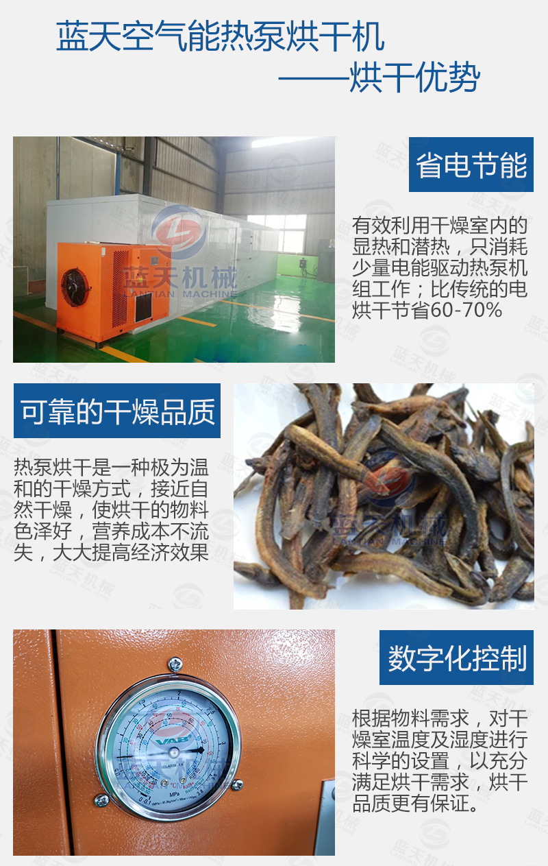 空气能泥鳅干烘干机 鱼鳅脱水干燥机 箱式热泵泥鳅烘干设备生产商示例图5