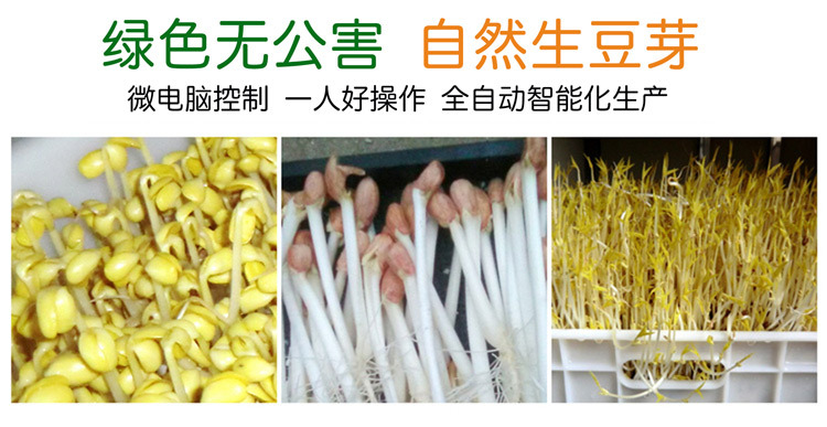 小型豆芽机设备,小型自动豆芽机,200斤豆芽机多少钱,双控豆芽机器示例图23