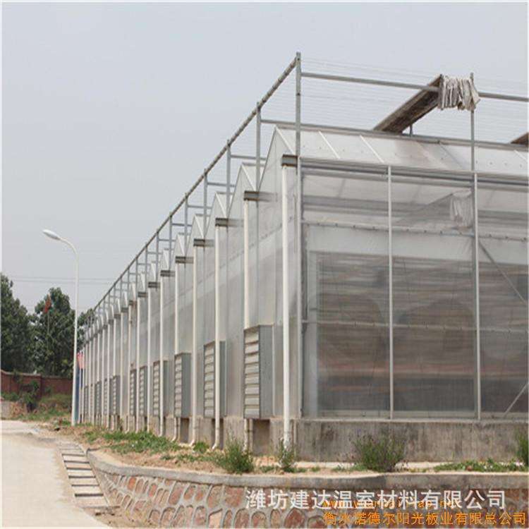 山东温室大棚工程造价 玻璃温室 连栋薄膜温室 阳光板温室示例图8