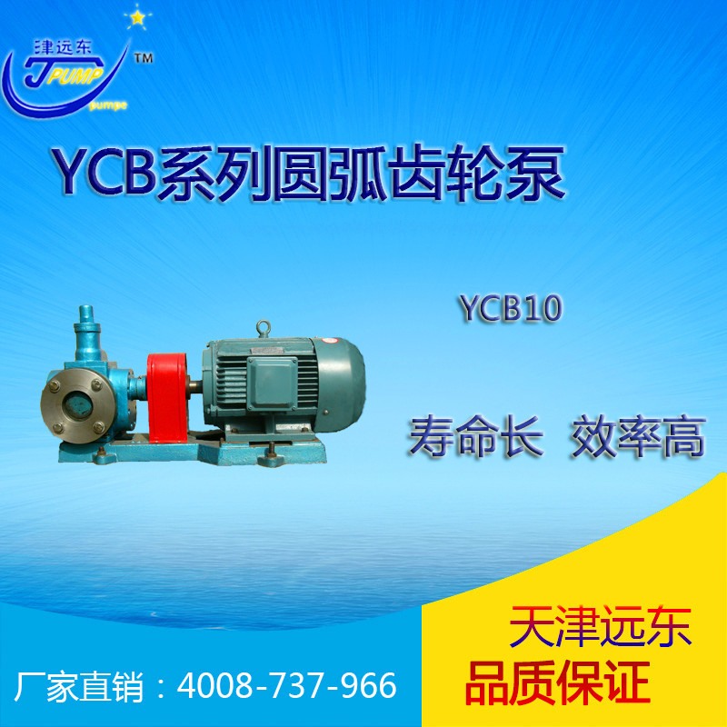 天津远东 YCB10/0.6齿轮泵 硅油输送泵 yhcb圆弧齿轮泵 厂家直销示例图1