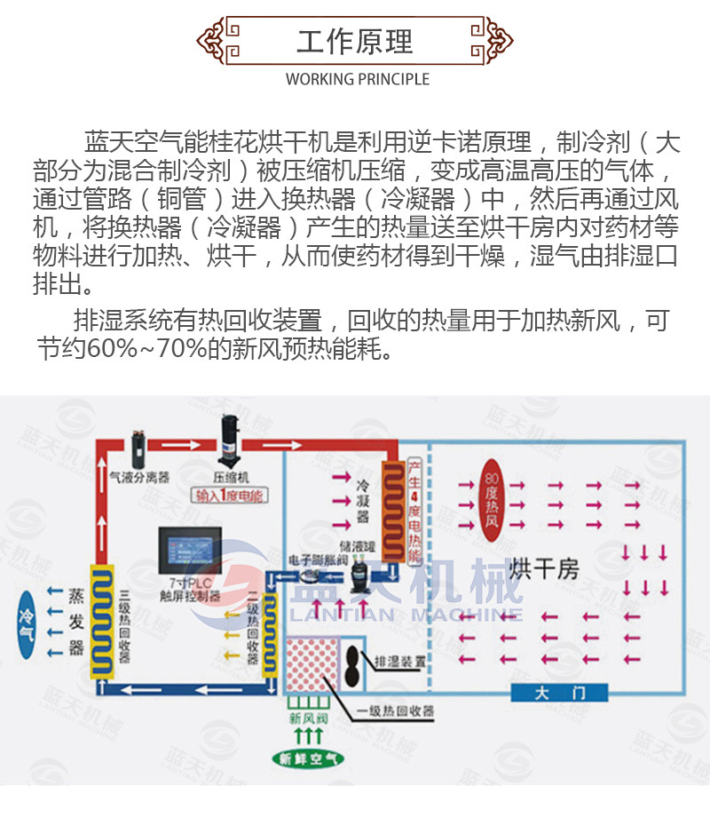 空气能桂花烘干机 桂花雷箱式干燥机 热风循环桂花茶烘干箱生产商示例图6