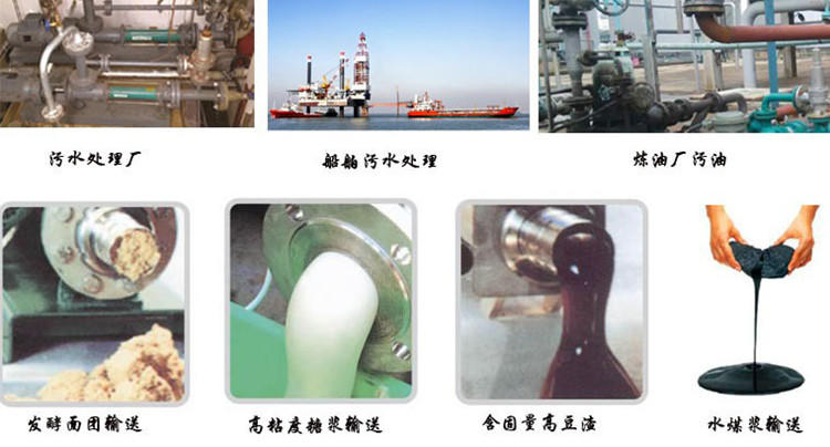 南京G35-2型单螺杆泵 巧克力厂专用单螺杆泵 奶酪 奶油厂专用单螺杆泵-泊亿佳专业生产螺杆泵示例图3