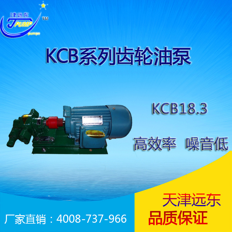 天津远东 KCB-18.3齿轮油泵 润滑油输送泵 远东齿轮泵厂家直销示例图1