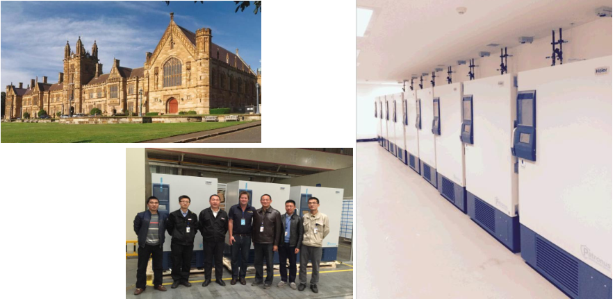 南澳大利悉尼大学