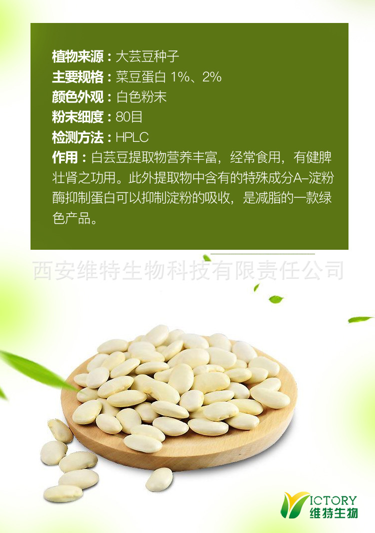 SC工厂供应白芸豆提取物 白芸豆菜豆蛋白2%white kidney bean P.E示例图6