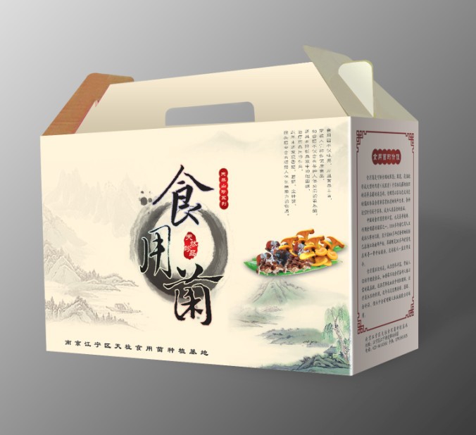 苹果包装盒-香橙礼盒-南京源创包装设计制作示例图5