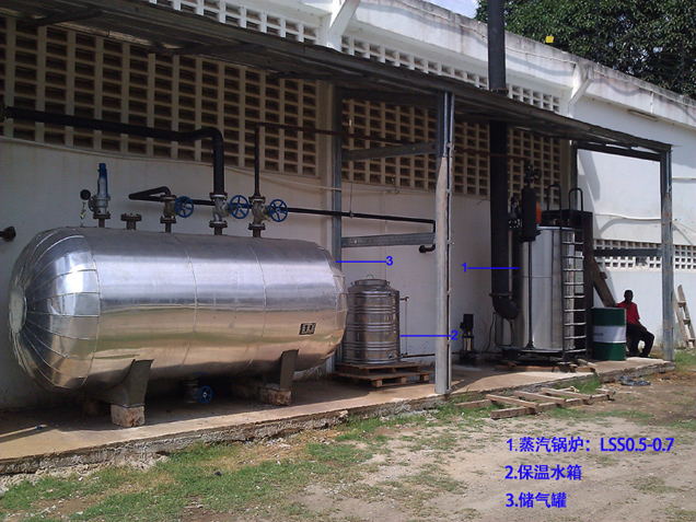 供应LWS燃油蒸汽锅炉 燃气锅炉示例图5