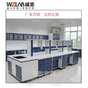 诚志全钢实验台