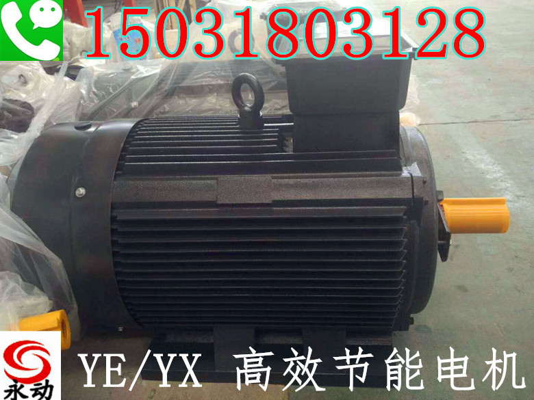 高效 超高效电机 YE YX 国标电机 衡水生产厂家批量优质生产供应示例图33