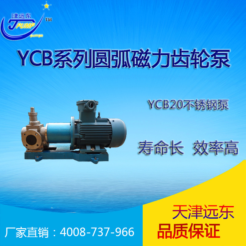 天津远东 YCB20/0.6不锈钢磁力圆弧齿轮泵 磁力齿轮泵 耐腐蚀泵示例图1