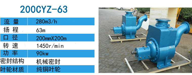 轻柴油供油泵40CYZ-20自吸油泵配2.2kw-2电机示例图5