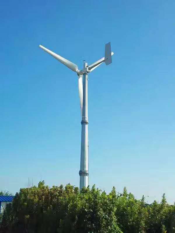 晟成sc-888永磁同步风力发电机新型1kw风力发电机关注用户体验示例图1