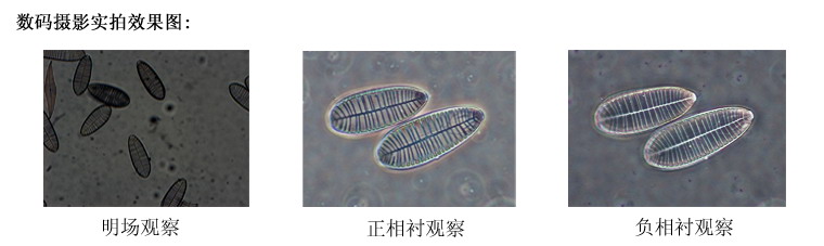 北京显微镜代理  XDS-3 倒置生物显微镜  倒置显微镜 供应报价示例图9