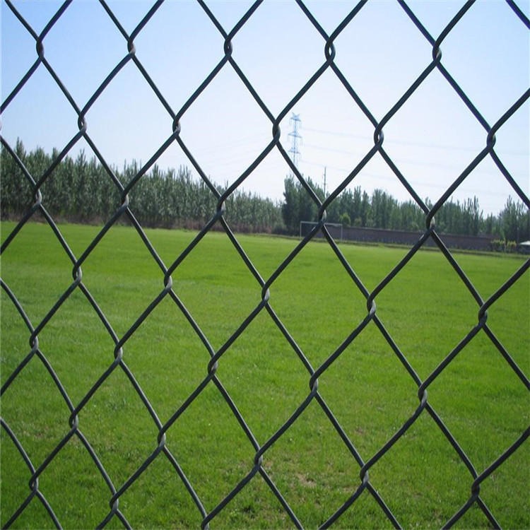 球场围网  中学篮球场围网定制厂家  迅鹰球场围栏网生产厂家