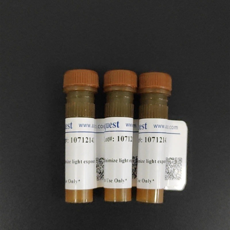 AAT Bioquest Amplite 荧光法荧光胺蛋白质定量试剂盒 蓝色荧光   货号11100图片