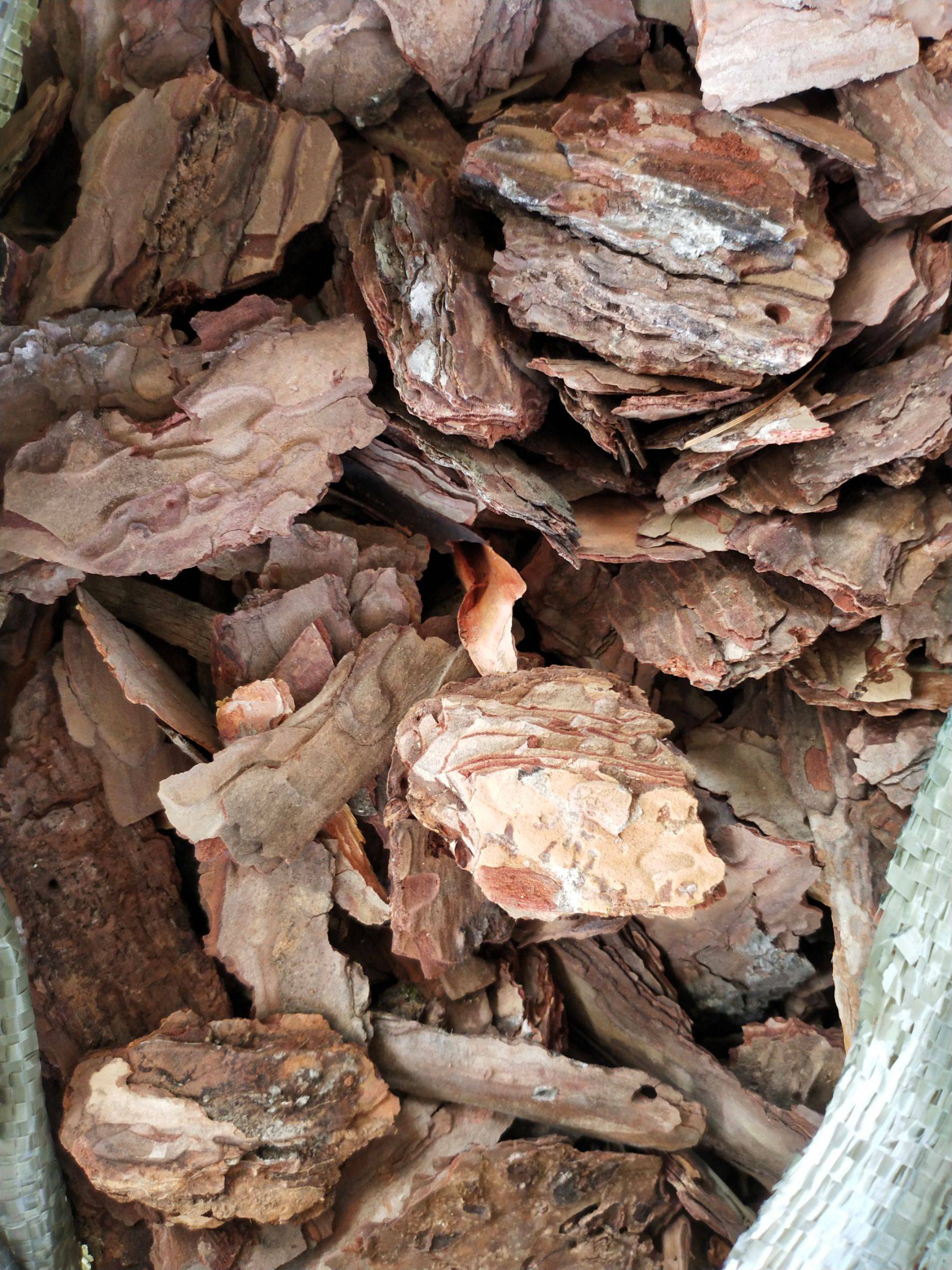 红河松树皮 5-10cm 10-30cm污水处理生物除臭专用松树皮价格