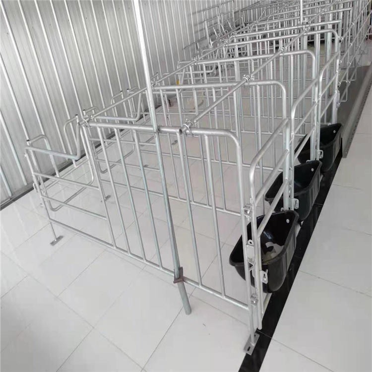 海丫养殖 猪定位栏价格图片 母猪场限位栏的设计功能及优越性