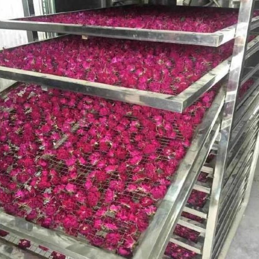 玫瑰花烘干设备 玫瑰花烘干机设备厂家批发 玫瑰花杀青烘干机图片