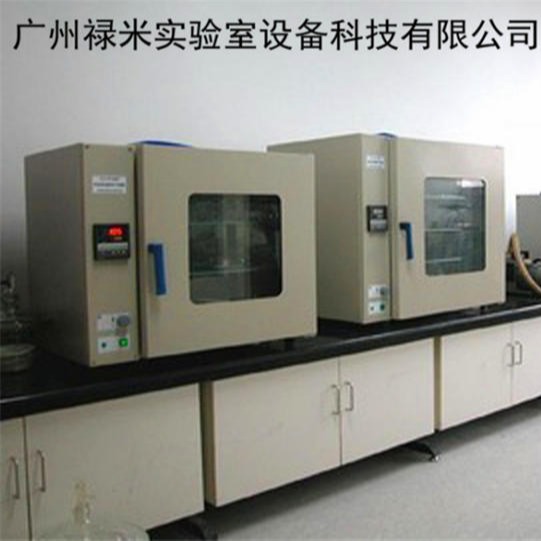 禄米实验室全钢高温台 高温台生产厂家 实验室家具厂家直销LM-GWT604