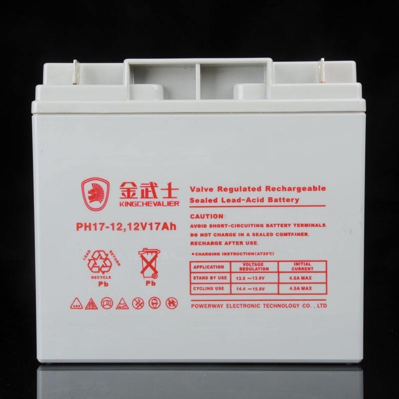金武士蓄电池 PH17-12 金武士 蓄电池 金武士蓄电池价格图片