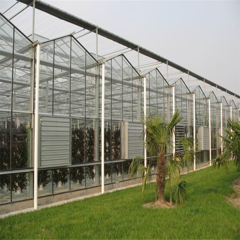 博伟 玻璃温室 果蔬玻璃温室大棚 承接玻璃温室大棚安装