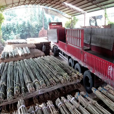 京西竹业 供应各种规格的江西竹杆 农用园林用小竹杆