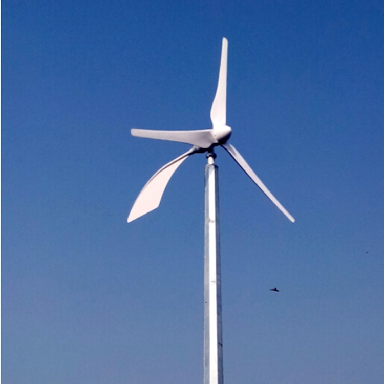 陕西蓝润 风力发电机 家用风力发电机 小型风光互补风力发电机 风叶迎风360度调整图片